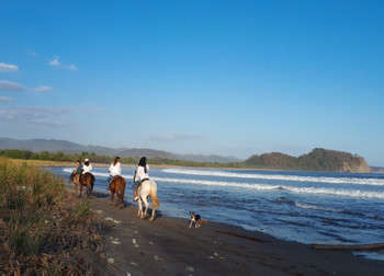 Selva y paseo a caballo por la playa de Buena Vista photo 2