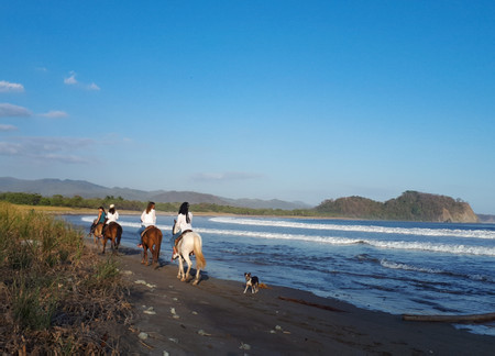 Selva y paseo a caballo por la playa de Buena Vista photo 2