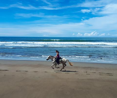 Selva y paseo a caballo por la playa de Buena Vista