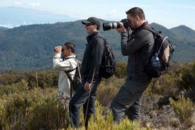 Bird Watching Tour San Gerardo - Private