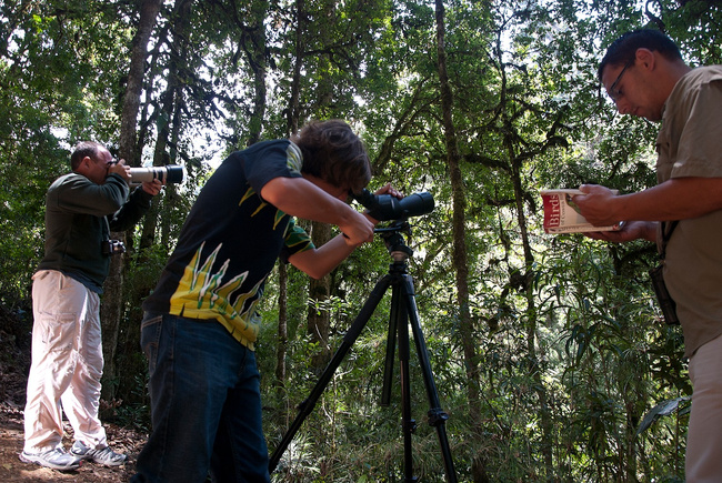 San Gerardo Bird Watching Tour Photo