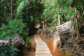 Parque Nacional Los Quetzales- Paramo Tour photo 5