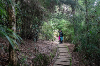 Parque Nacional Los Quetzales- Paramo Tour photo 2