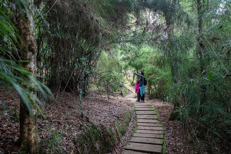 Parque Nacional Los Quetzales- Paramo Tour photo 2
