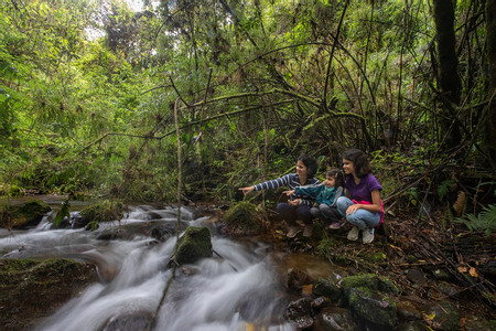 Parque Nacional Los Quetzales- Paramo Tour photo 3