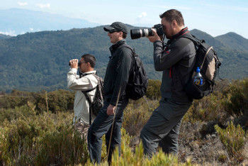 San Gerardo Bird Watching Tour photo 3