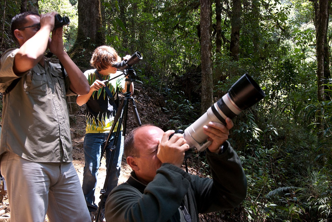 San Gerardo Bird Watching Tour Photo