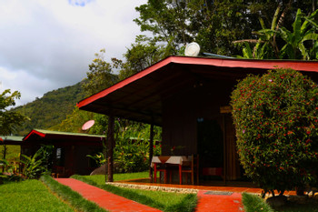 Hotel El Pelicano photo 3