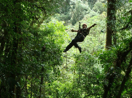 Canopy San Luis photo 2