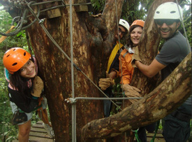 Canopy San Luis