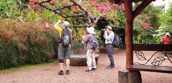 Doka Coffee Tour and La Paz Waterfall Gardens photo 5