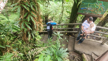 La Paz Waterfall Gardens photo 2