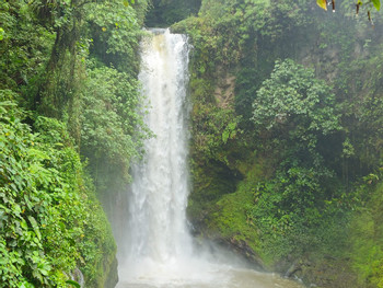 La Paz Waterfall Gardens photo 5