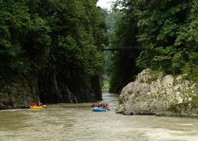 Pacuare River Rafting Class II-III - One Day Tour photo