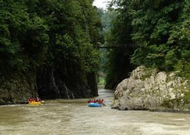 Pacuare River Rafting Class II-III - One Day Tour