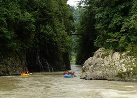 Pacuare River Rafting Class II-III - One Day Tour photo