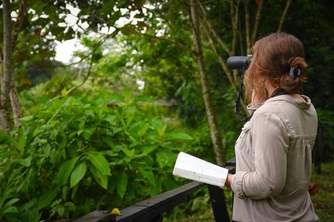 Retiro Ecológico en el Bosque Chilamate Costa Rica