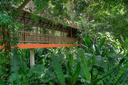 Hotel Bambú photo 2