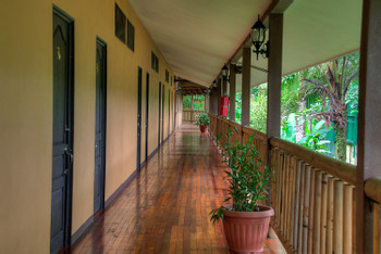 Hotel Bambú photo 5