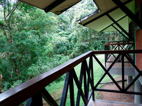Estacion Biologica La Selva Costa Rica