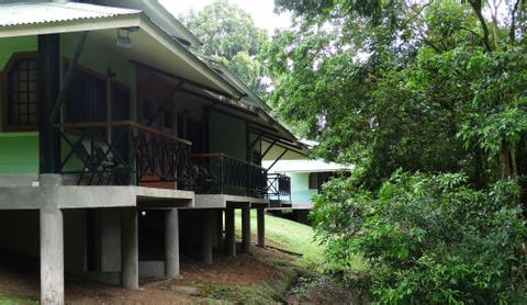 Estacion Biologica La Selva Costa Rica