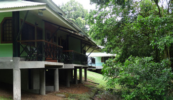 Estación Biológica La Selva photo 4