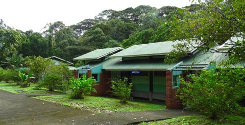 Estacion Biologica La Selva Costa Rica