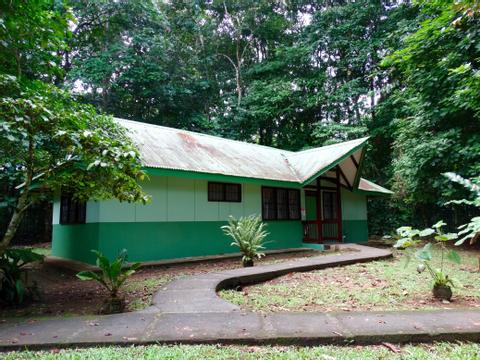 Estacion Biologica La Selva Costa Rica