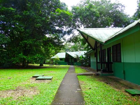Estacion Biologica La Selva Costa Rica