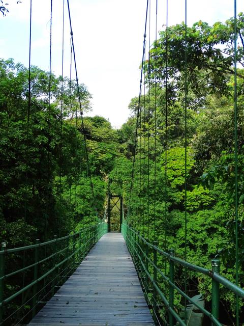 Estacion Biologica La Selva Costa Rica