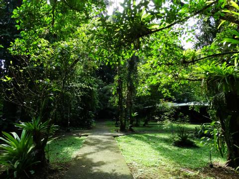 Estacion Biologica La Selva Costa Rica