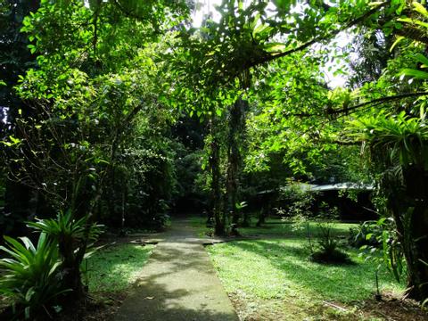 Estación Biológica La Selva Costa Rica