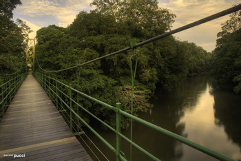 Estacion Biologica La Selva
