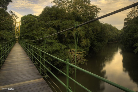 Estacion Biologica La Selva