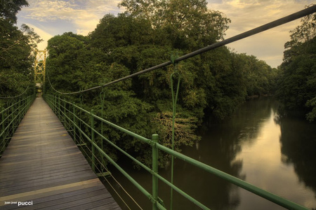 Estacion Biologica La Selva