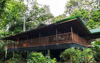 Selva Verde Lodge and Rainforest Reserve