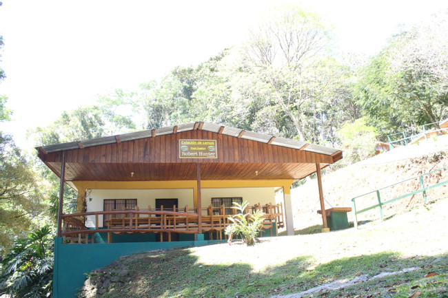 Tirimbina Lodge photo