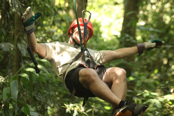 Canopy Tour