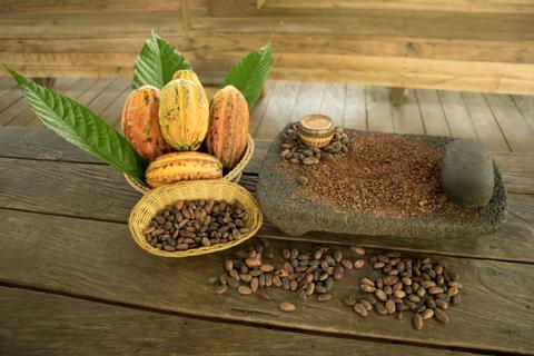 Chocolate Tour Costa Rica