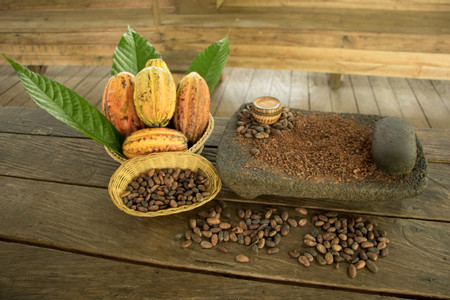 Tirimbina Chocolate Tour photo 2