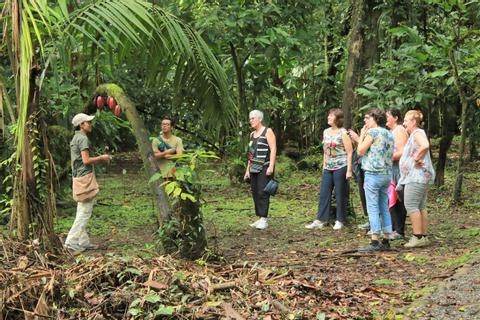 Chocolate Tour Costa Rica