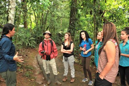 Tirimbina Natural History Guided Walk