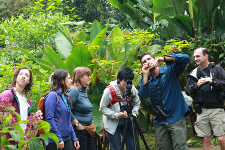 Tirimbina Natural History Guided Walk