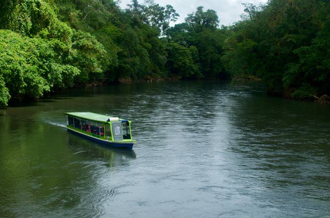 Sarapiqui River Safari Guided Tour, Costa Rica