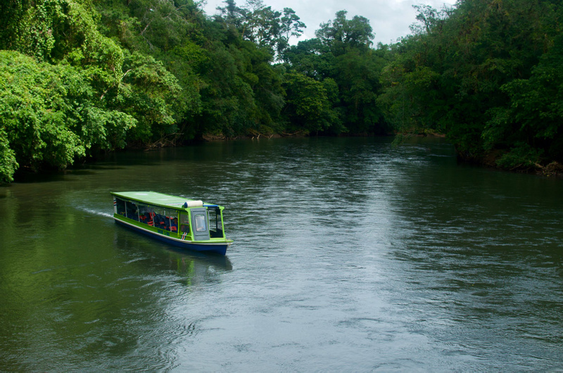 Sarapiqui River Safari Guided Tour photo