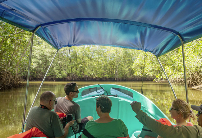 Sierpe Mangrove Tour photo