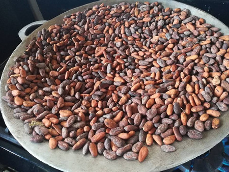 Tour de chocolate en Alajuela photo 3