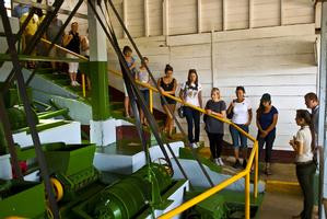 Doka, Grecia and Sarchi (Oxcart Factory) photo 2