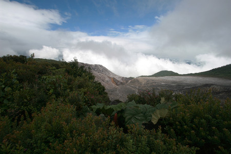 Doka Coffee & Poas Volcano Tour