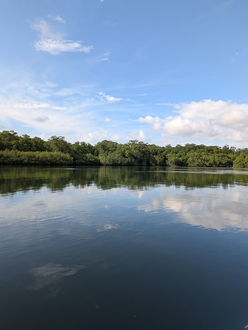 Estuary Boat Tour in Tamarindo photo 2
